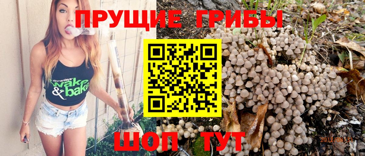 Псилоцибиновые грибы мицелий  Галлюциногенные грибы MAGIC MUSHROOMS  Вход с VPN  Воркута 
